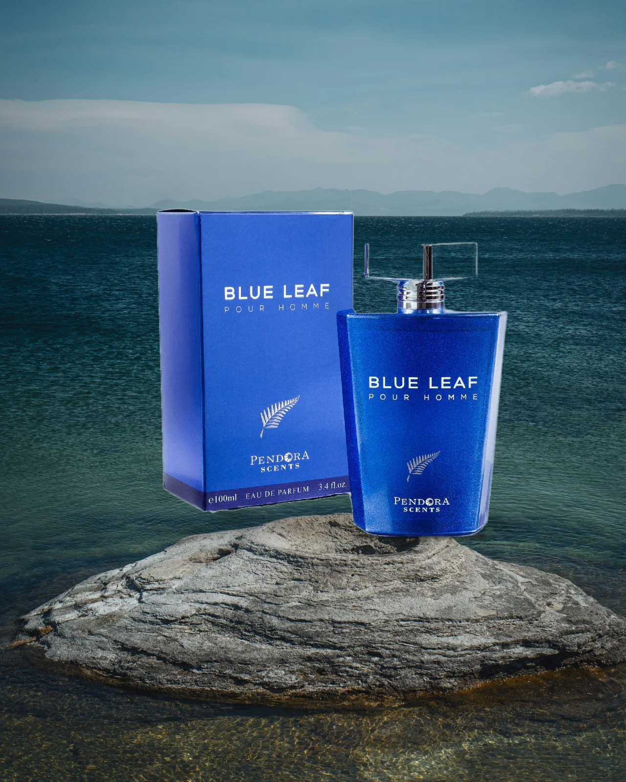 Pendora Scents Blue Leaf Edp 100ml Men