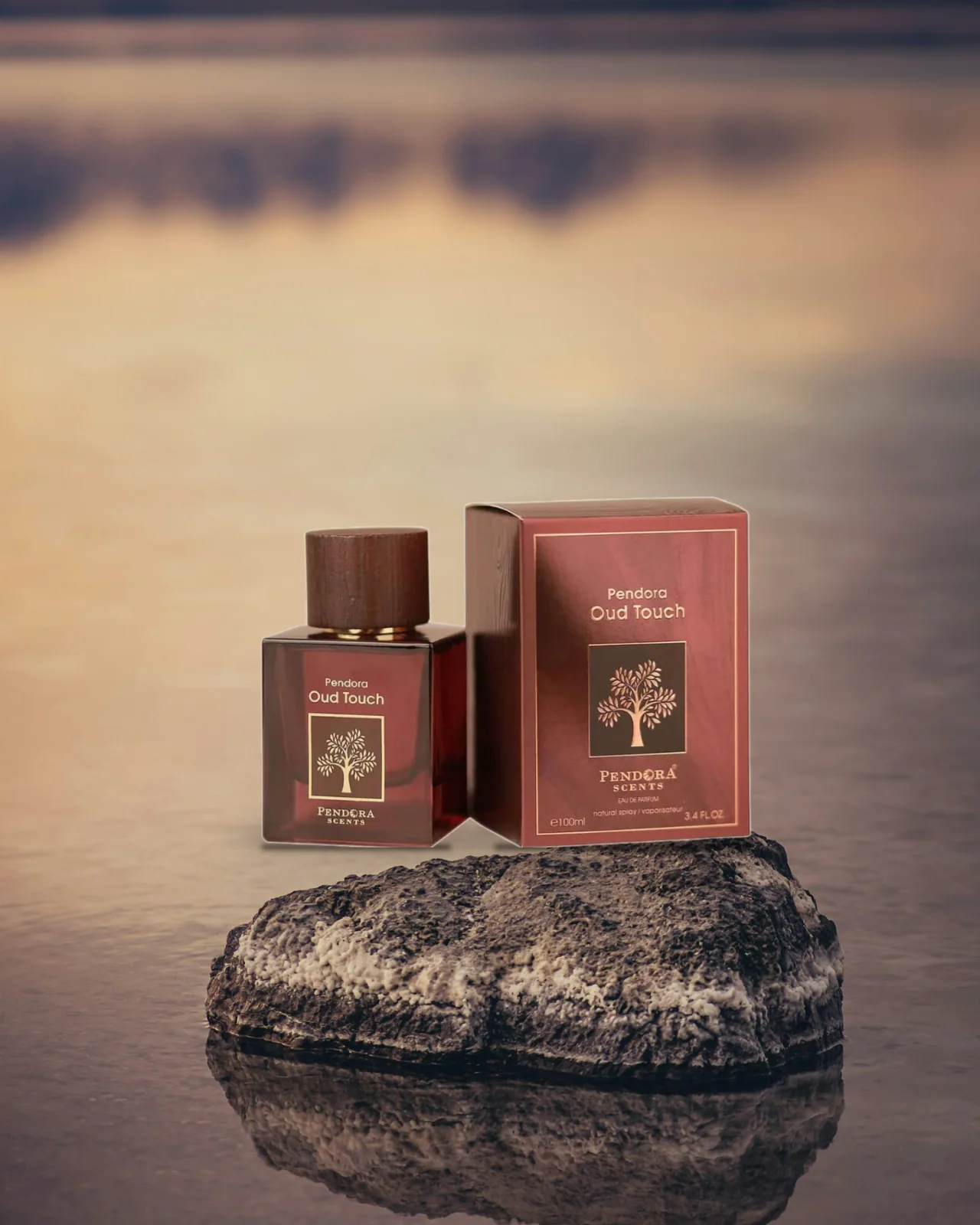 Pendora Scents Oud Touch Edp 100ml Men
