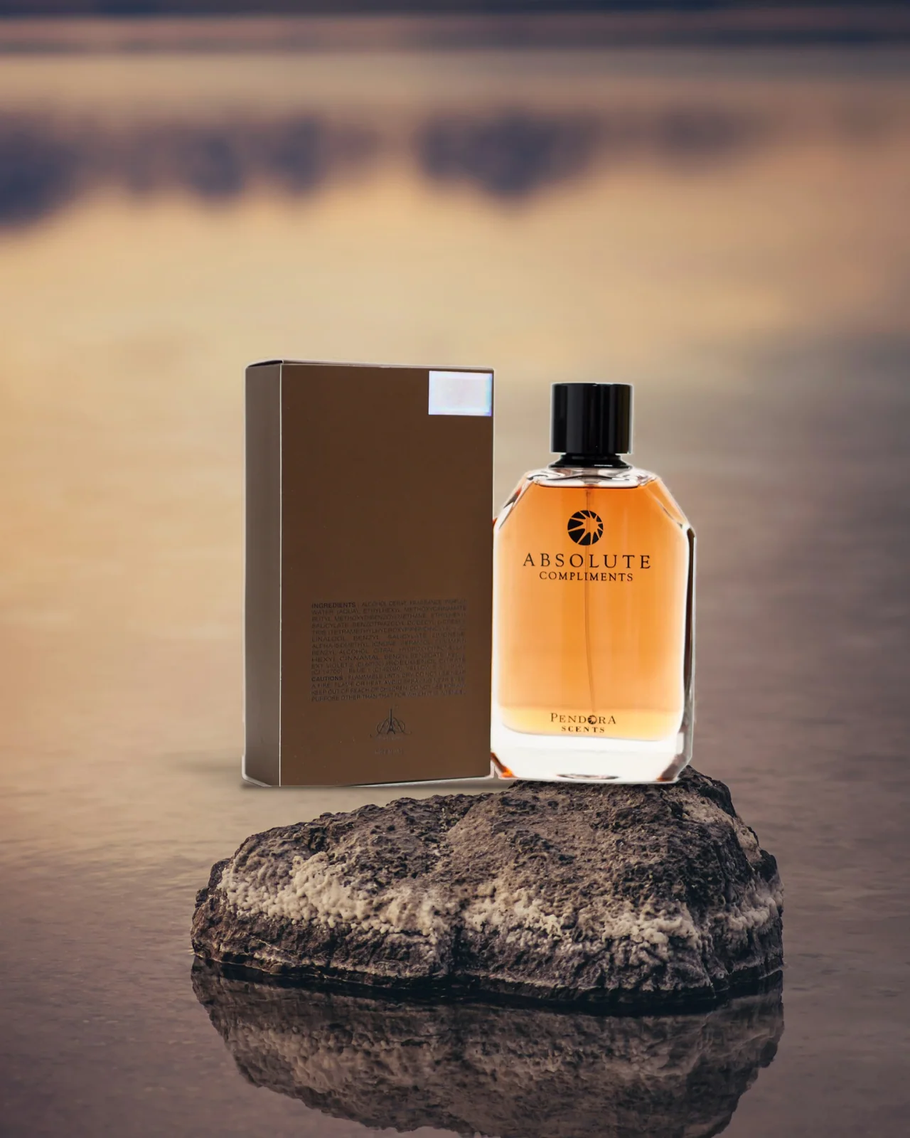 Pendora Scents Absolute Compliments Edp 100ml Men