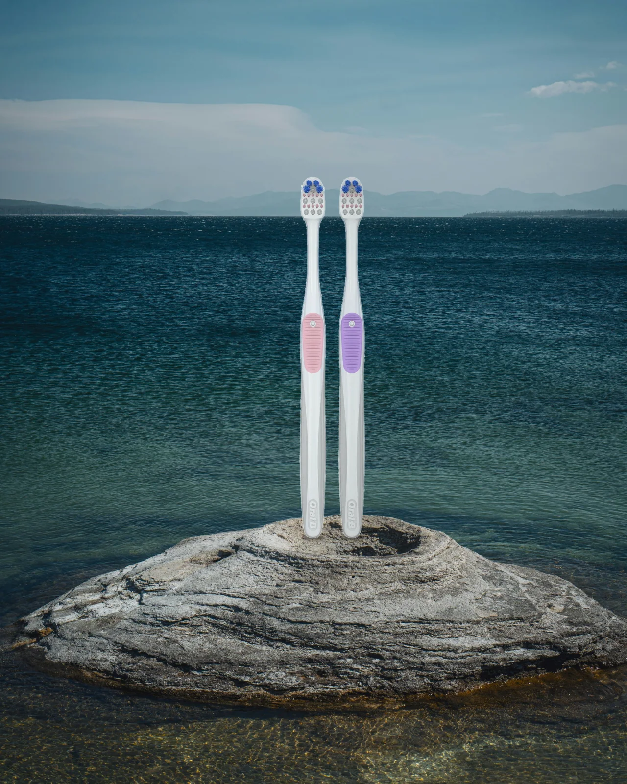 Oral-B Gum Cleaning Toothbrush