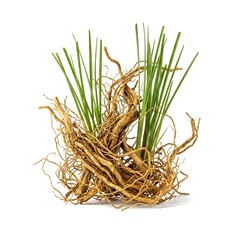 Vetiver - Base Note