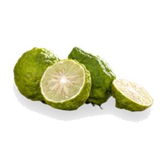 Bergamot - Top Note