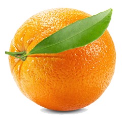 Sicilian Mandarin