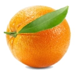 Orange - Top Note
