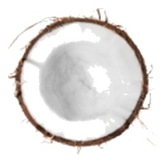 Coconut - Base Note