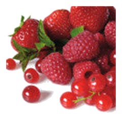 Berries - Top Note