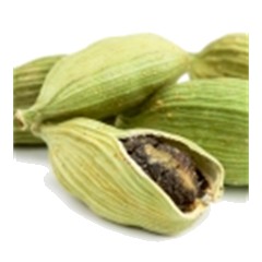 Cardamom - Top Note
