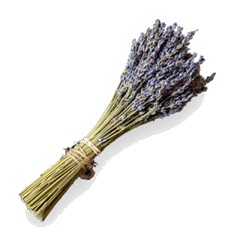 Lavender - Middle Note