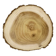 Guaiac Wood - Middle Note