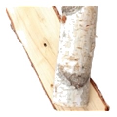 Birch - Middle Note