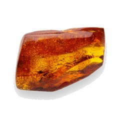 Amber - Base Note