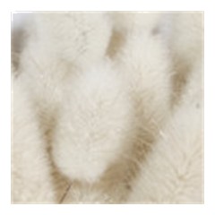 White Musk - Base Note
