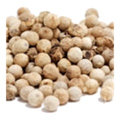 Coriander - Top Note