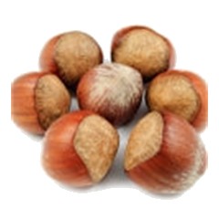 Hazelnut - Top Note
