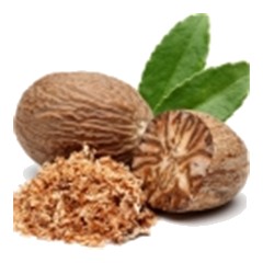 Nutmeg - Middle Note