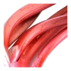 Rhubarb - Top Note
