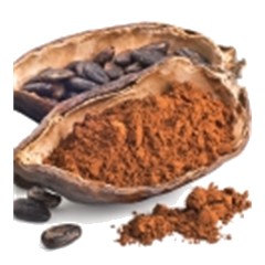 Cacao - Base Note