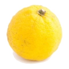 Yuzu - Top Note