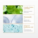 Dr. Althea Vitamin C Boosting Serum 30ml - Gallery View 4 | Abdulghani Trading