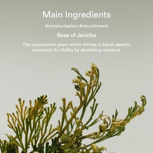 Abib Collagen Eye Crème Jericho Rose Tube 30 Ml
