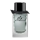 Burberry Mr. Burberry Eau de Toilette 100ml for Men - Bottle View | Abdulghani Trading