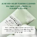 SKIN1004 Madagascar Centella Tea-Trica BHA Foam 125ml - Official Product Image | Abdulghani Trading