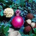Britney Spears Fantasy Eau de Parfum 100ml for Women - Bottle View | Abdulghani Trading