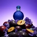 Britney Spears Midnight Fantasy Eau de Parfum 100ml for Women - Fragrance Notes Pyramid | Abdulghani Trading