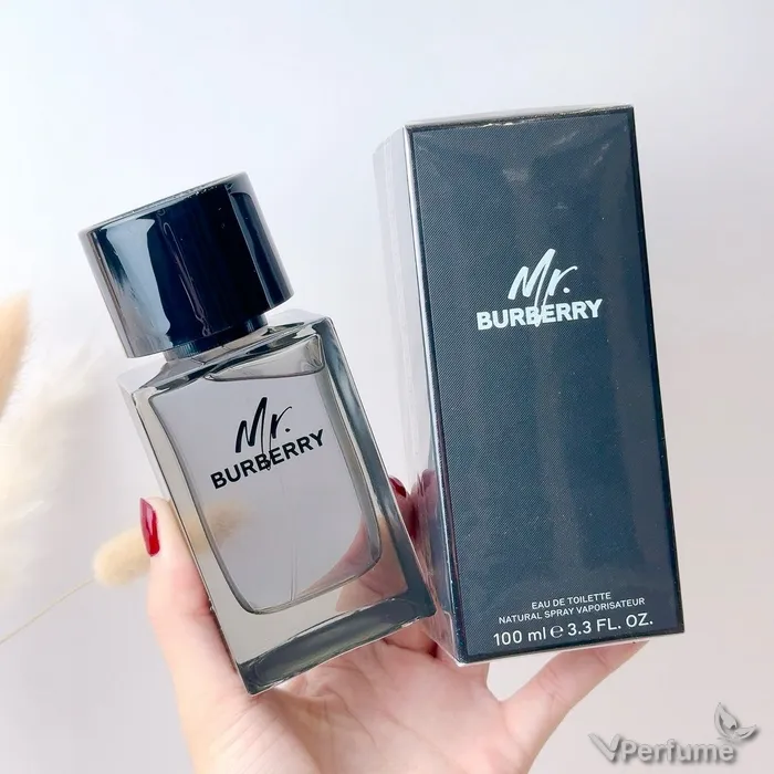 burberry-mr-burberry-edt-100ml-04.webp