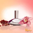 088300162505.webp