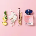 21667a28-27c9-490a-8aae-cb7bf8fc71d8-1000x1000-Lr71YDtjp0TkG2ufKhYQp7RXvRNCLvsmvwUMtRWc.webp