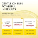 EQQUALBERRY Vitamin Illuminating Cream – Vitamin C & 5% Niacinamide + 3% TXA | Dark Spots Cream | Ceramide Barrier Strength | Glowy, Lightweight Hyd