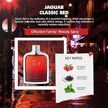 81VsMMXLVYL._AC_UF350,350_QL80_.webp