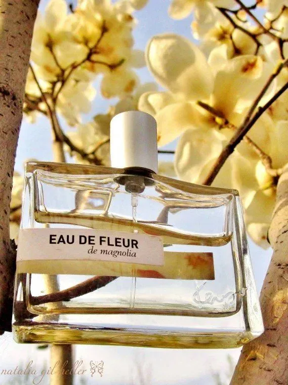 Kenzo Eau de Fleur de Magnolia Eau de Toilette 50ml for Women - Fragrance Notes Pyramid | Abdulghani Trading