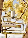 Kenzo Eau de Fleur de Magnolia Eau de Toilette 50ml for Women - Fragrance Notes Pyramid | Abdulghani Trading