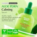 Eqqualberry Aloe PDRN Calming Serum 30ml - Official Product Image | Abdulghani Trading