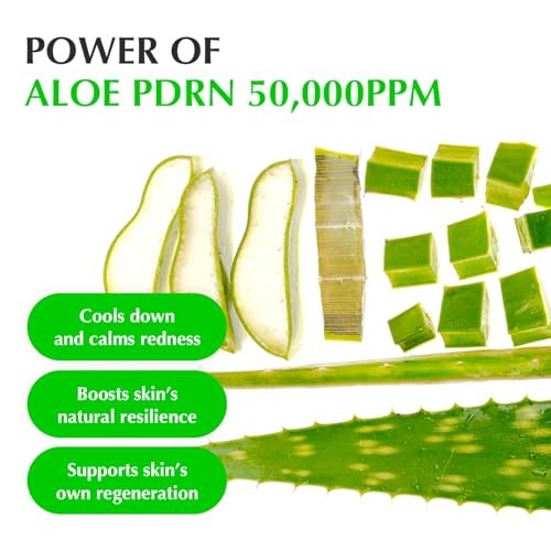 EQQUALBERRY - Aloe PDRN Calming Serum - 30ml