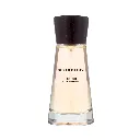 Burberry Touch for Women Eau de Parfum 100ml - Bottle View | Abdulghani Trading