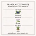 Azzaro Wanted Eau de Parfum 100ml for Men - Fragrance Notes Pyramid | Abdulghani Trading