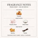 Prada Candy Eau de Parfum 80ml for Women - Fragrance Notes Pyramid | Abdulghani Trading