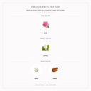 Montale Roses Musk Eau de Parfum 100ml for Women - Fragrance Notes Pyramid | Abdulghani Trading