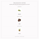 Valentino Uomo Born in Roma Green Stravaganza Eau de Toilette 100ml for Men - Fragrance Notes Pyramid | Abdulghani Trading