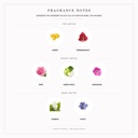 Burberry My Burberry Blush Eau de Parfum 90ml for Women - Fragrance Notes Pyramid | Abdulghani Trading