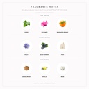 Dolce & Gabbana Dolce Violet Eau de Toilette Gift Set for Women (75ml + 10ml) - Fragrance Notes Pyramid | Abdulghani Trading