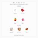 Carolina Herrera 212 VIP Rose Eau de Parfum Gift Set 80ml for Women - Fragrance Notes Pyramid | Abdulghani Trading