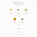 Bien Être EUD De Colonge 500ml - Fragrance Notes Pyramid | Abdulghani Trading