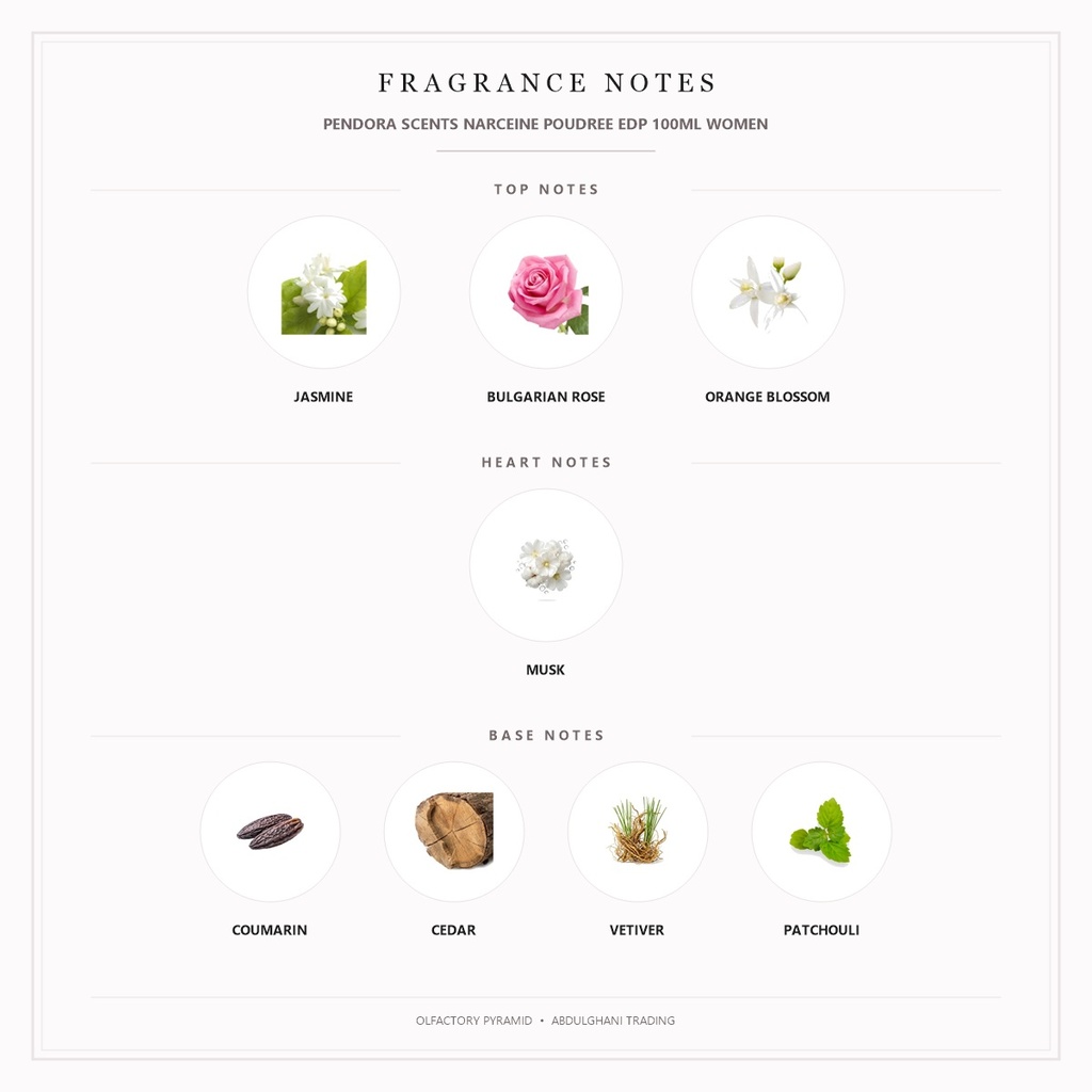 Pendora Scents Narceine Poudree Edp 100ml Women - Fragrance Notes Pyramid | Abdulghani Trading