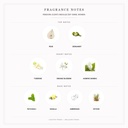 Pendora Scents Indulge Edp 100ml Women - Fragrance Notes Pyramid | Abdulghani Trading