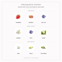 Pendora Scents Dahlia Pour Femme Edp 100ml Women - Fragrance Notes Pyramid | Abdulghani Trading
