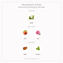 Pendora Scents My Boutique Night Edp 100ml Women - Fragrance Notes Pyramid | Abdulghani Trading